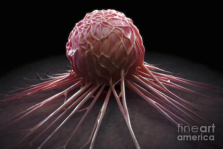 Cancer Cell #3 Photograph by Science Picture Co