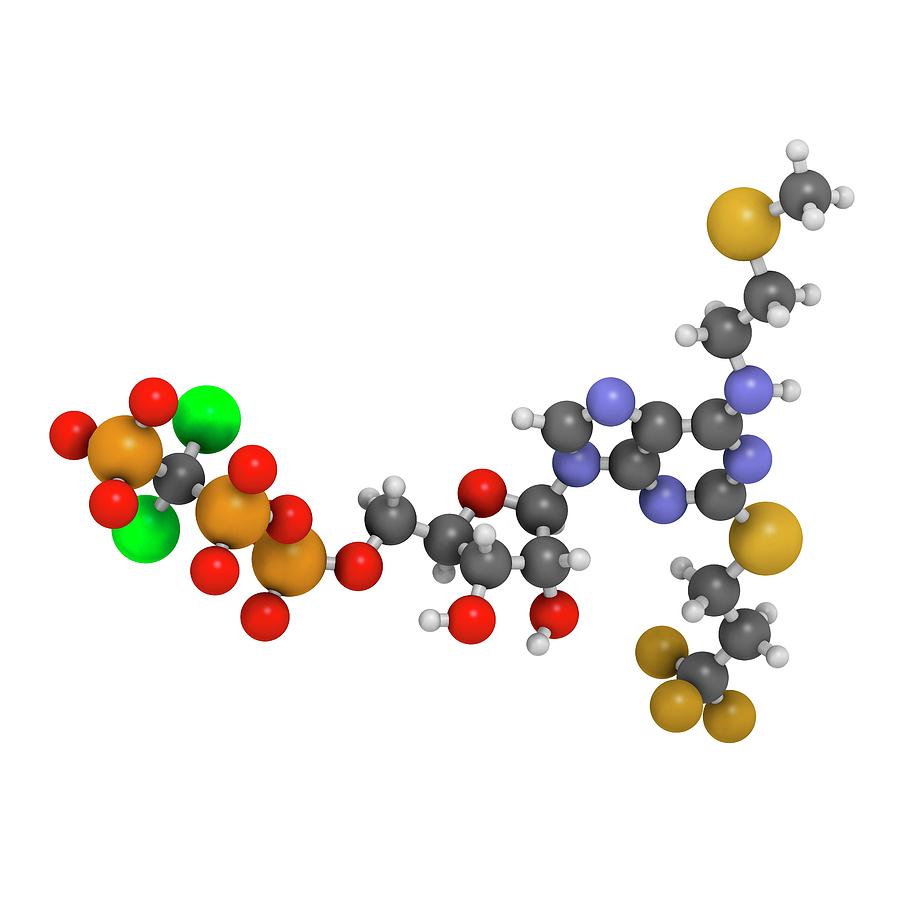 Inhibitor Photograph - Cangrelor Antiplatelet Drug Molecule #3 by Molekuul