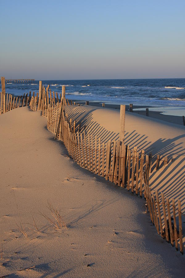 Cape Hatteras Dunes Photograph