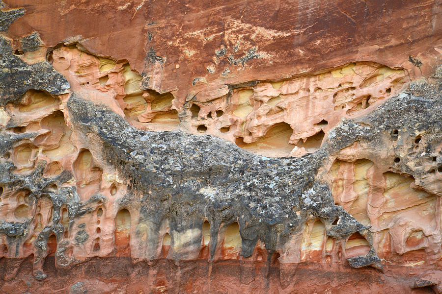 Capitol Reef Wall Art #15 Photograph by Ray Mathis