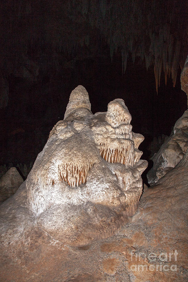 Carlsbad Caverns National Park Photograph by Fred Stearns