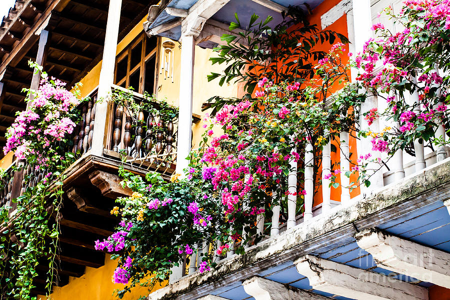 Cartagena de Indias Photograph by Mariusz Prusaczyk - Fine Art America