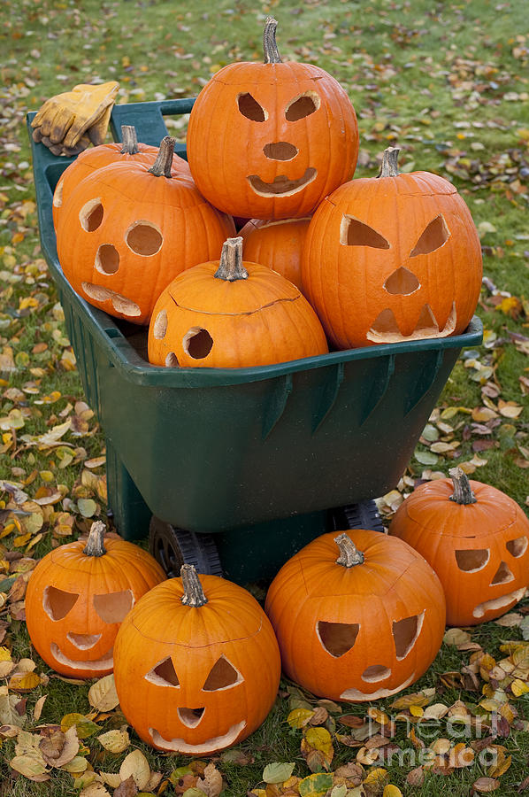 Carved Pumpkins In A Wheel Barrow #1 Photograph by Jim Corwin