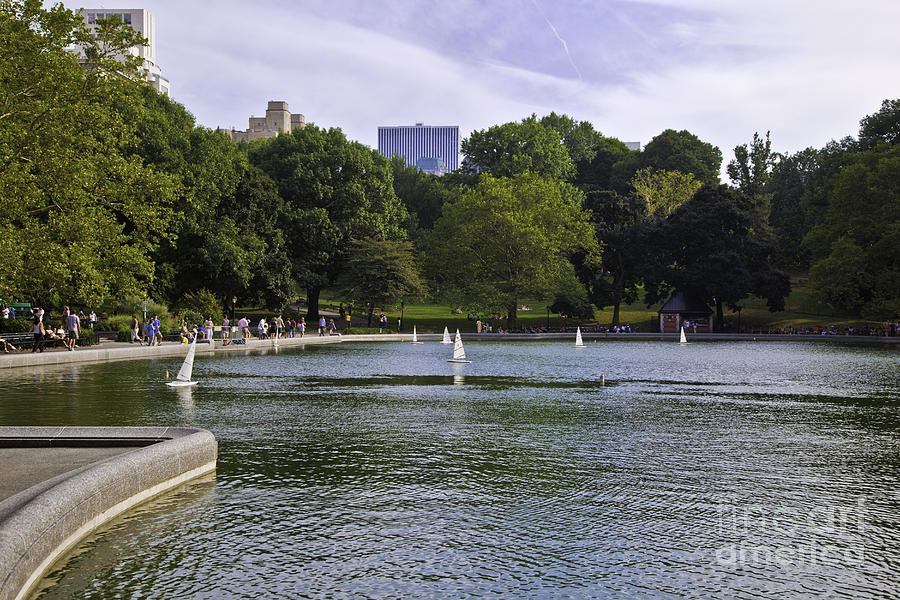 Central Park Pond #3 Photograph by Madeline Ellis