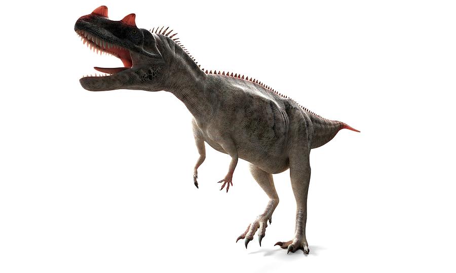 pro ceratosaurus