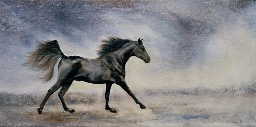 Horse Painting - Certez #3 by Mary Elizabeth White