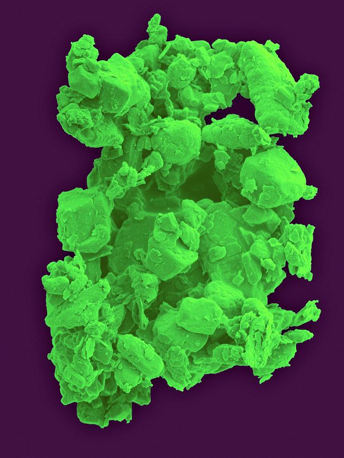 Chalk Photograph - Chalk Dust #3 by Dennis Kunkel Microscopy/science Photo Library