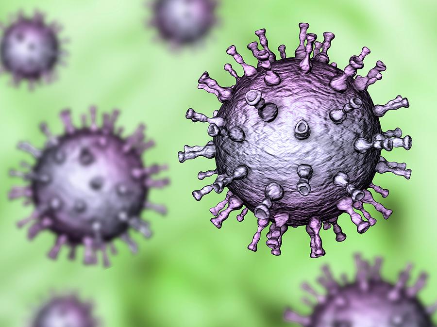 Chickenpox Virus #3 Photograph by Kateryna Kon/science Photo Library
