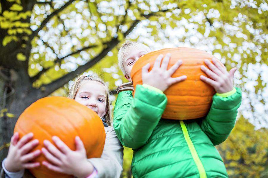 Children Holding Pumpkin Photograph by Science Photo Library - Fine Art ...