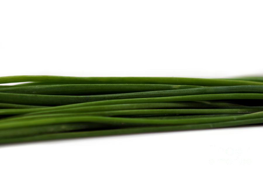 Chives Photograph by Henrik Lehnerer - Pixels