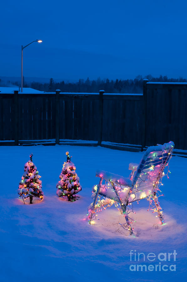 Christmas Lights On Trees And Lawn Chair #3 Photograph by Jim Corwin