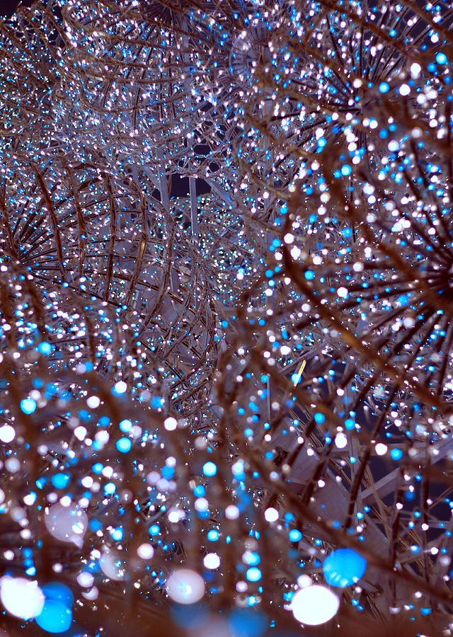 Christmas Lights #3 Photograph by Valentino Visentini
