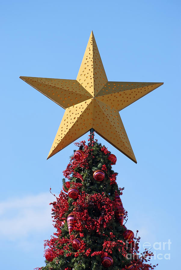 Christmas star #1 Photograph by George Atsametakis
