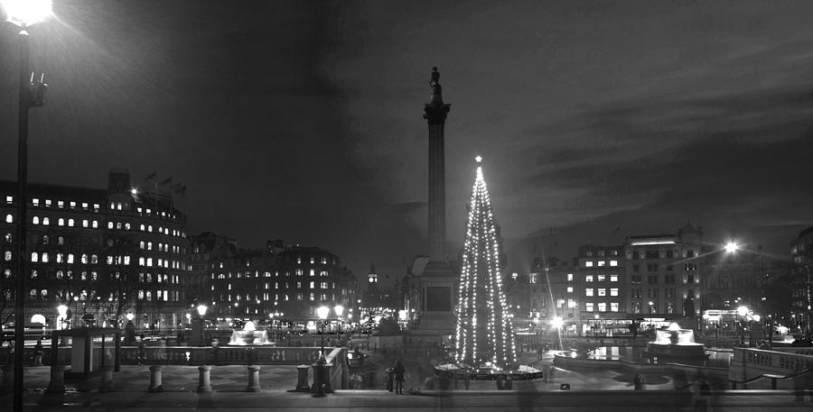 Christmas  Tree Trafalgar Square #3 Photograph by David French