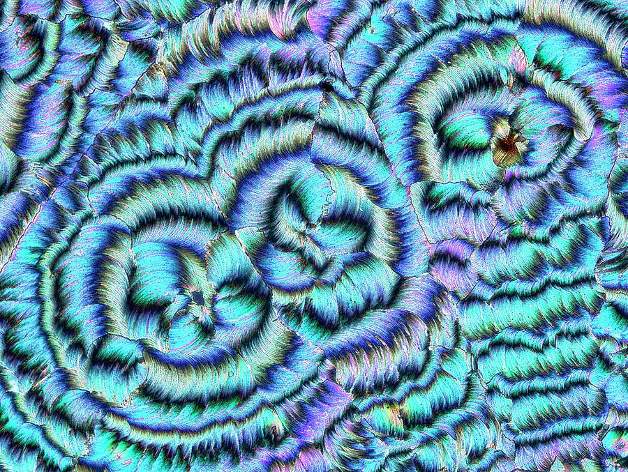 Cinchonidine Carbazolate Crystals #3 Photograph by Steve Lowry