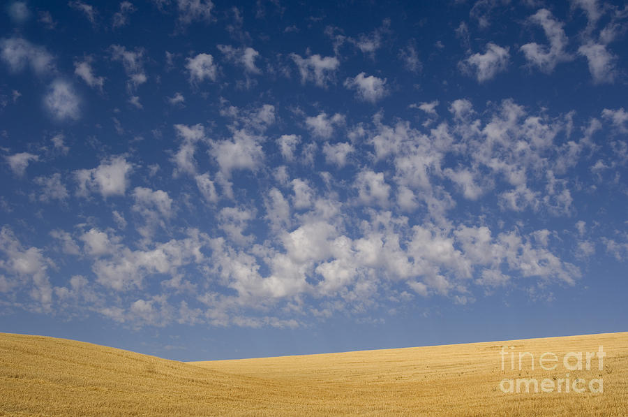 Farm Photograph - Clouds And Field #4 by John Shaw