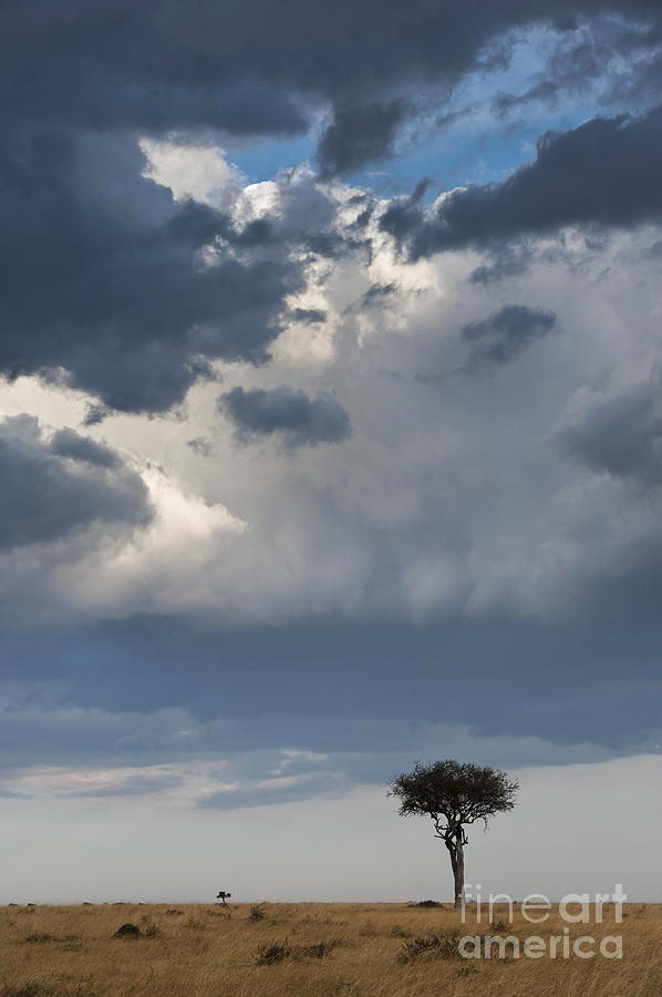 Clouds Over Maasai Mara, Kenya #3 Photograph by John Shaw