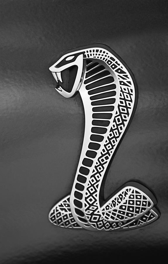 Cobra Emblem #3 Photograph by Jill Reger