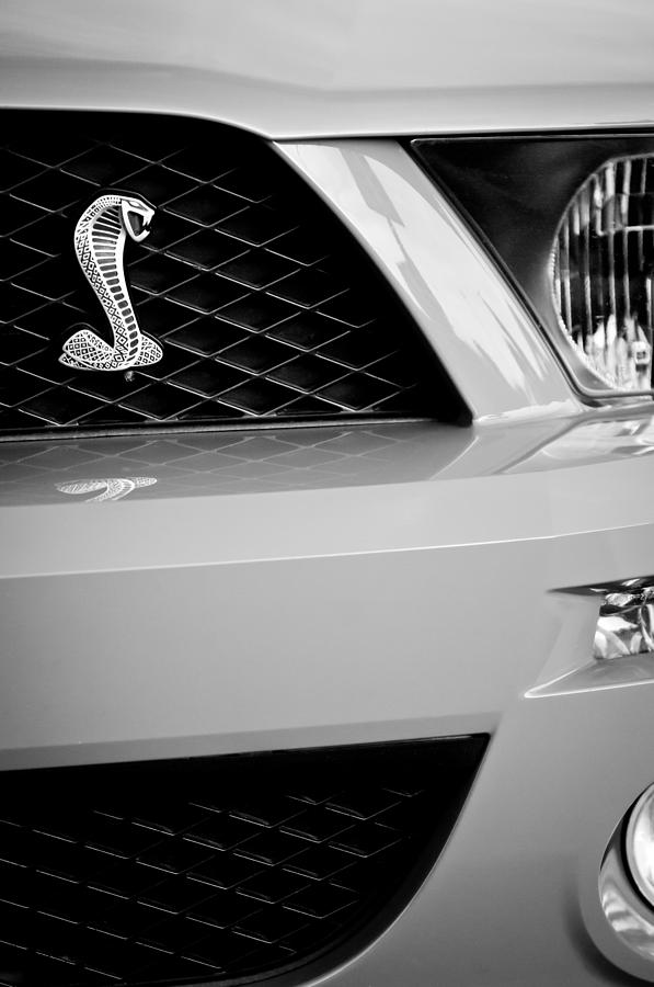 Cobra Grille Emblem Photograph by Jill Reger - Fine Art America