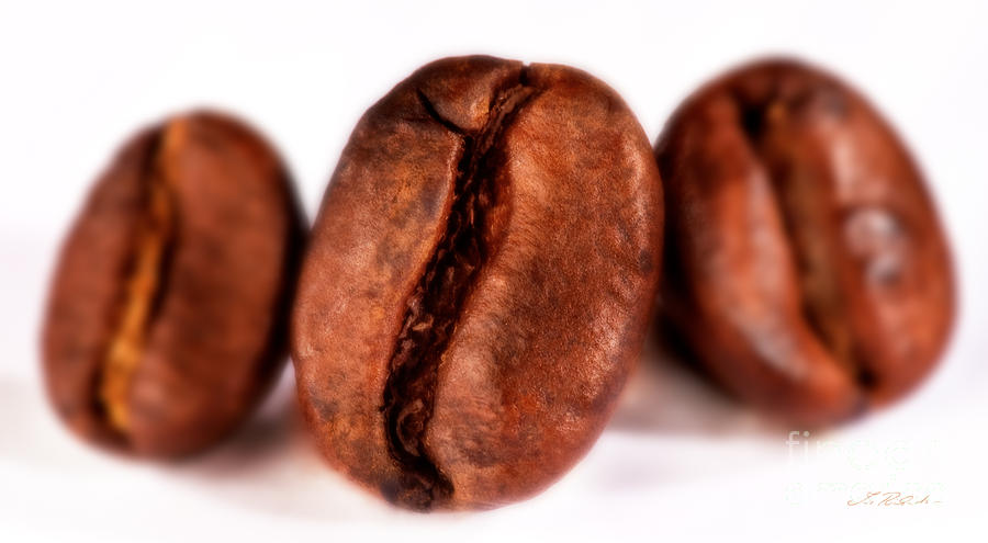 Coffee Photograph - 3 Coffee Beans by Iris Richardson