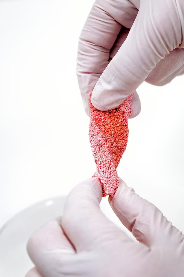 Collagen Sponge Photograph by Lewis Houghton/science Photo Library
