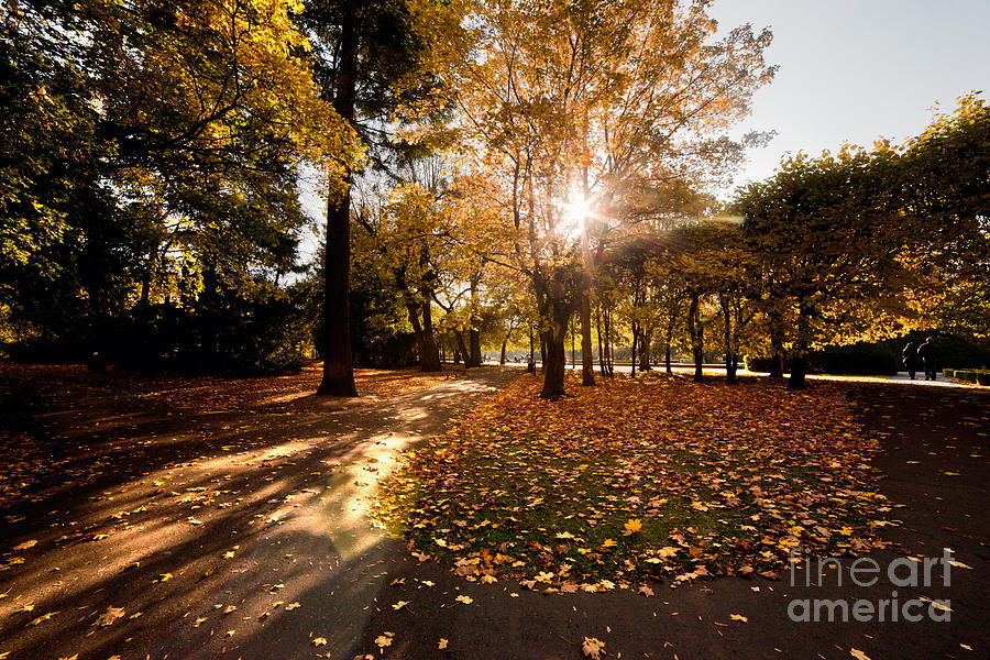Fall Photograph - Colorful fall autumn park #3 by Michal Bednarek