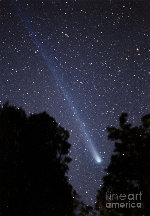Comet Hyakutake #3 Photograph by John Chumack