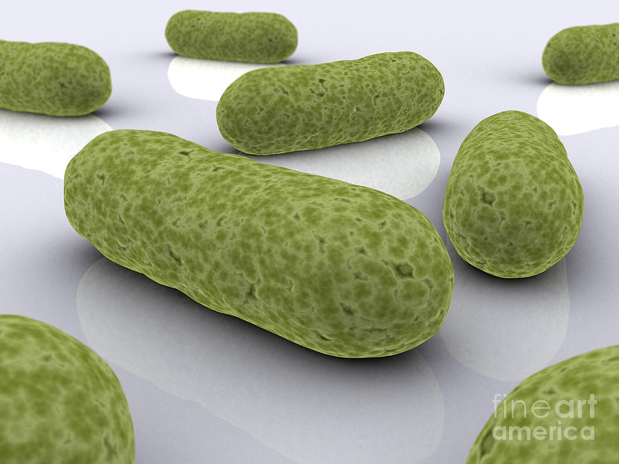 Nature Digital Art - Conceptual Image Of Bacteria #3 by Stocktrek Images