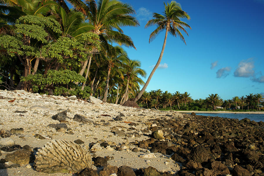 Rarotonga Island. Cook Island. Polynesia. South Pacific 