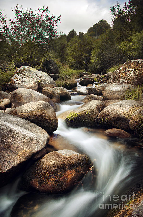 Creek #3 Photograph by Carlos Caetano