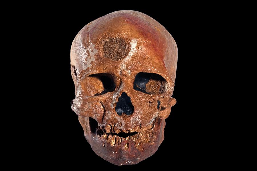 Cro Magnon Fossil Skull Photograph By Philippe Psaila Science Photo Library