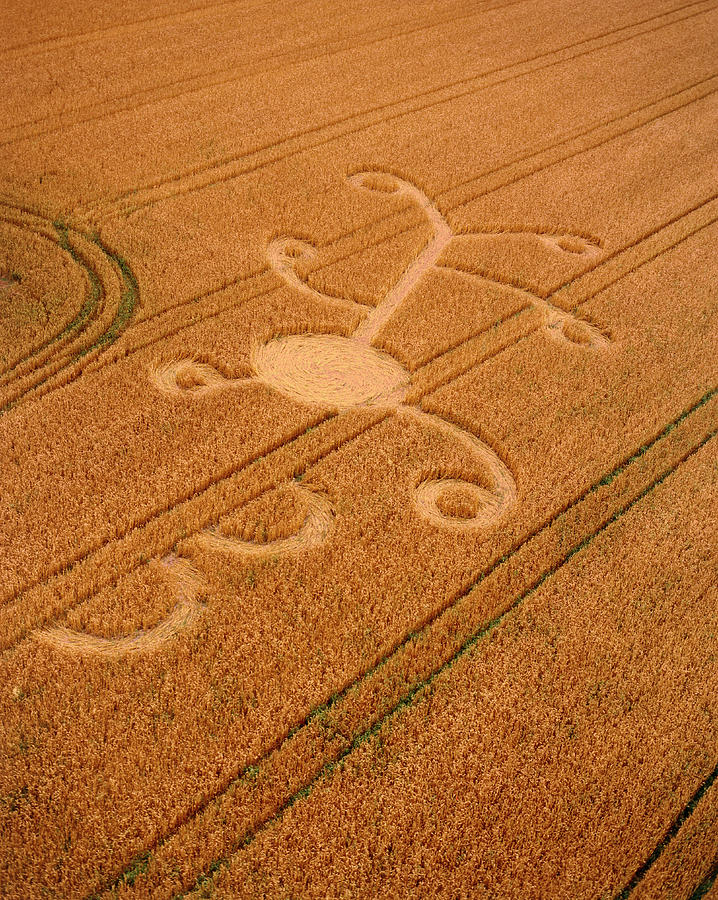 Crop Formation #3 Photograph by David Parker/science Photo Library