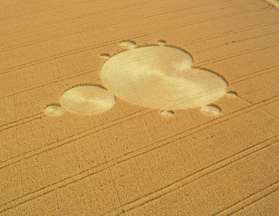 Crop Formation In Form Of Mandelbrot Set #3 Photograph by David Parker/science Photo Library