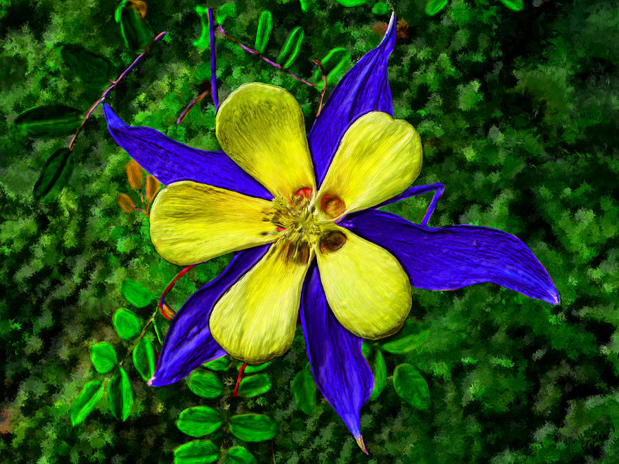 Beautiful Columbine #1 Painting by Bruce Nutting