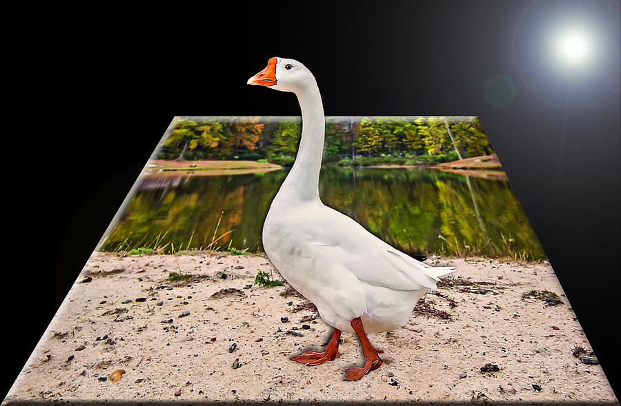 3 D White Goose Photograph by Michael Whitaker