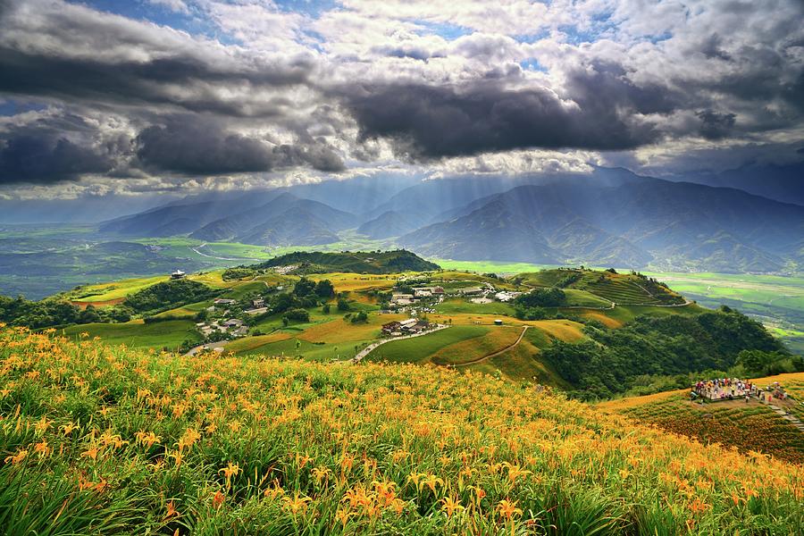 Daylilies Field On Mountain Range With Photograph by Joyoyo Chen