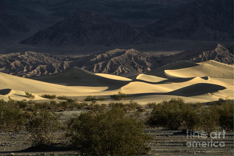 Death Valley #3 Photograph by Marc Bittan