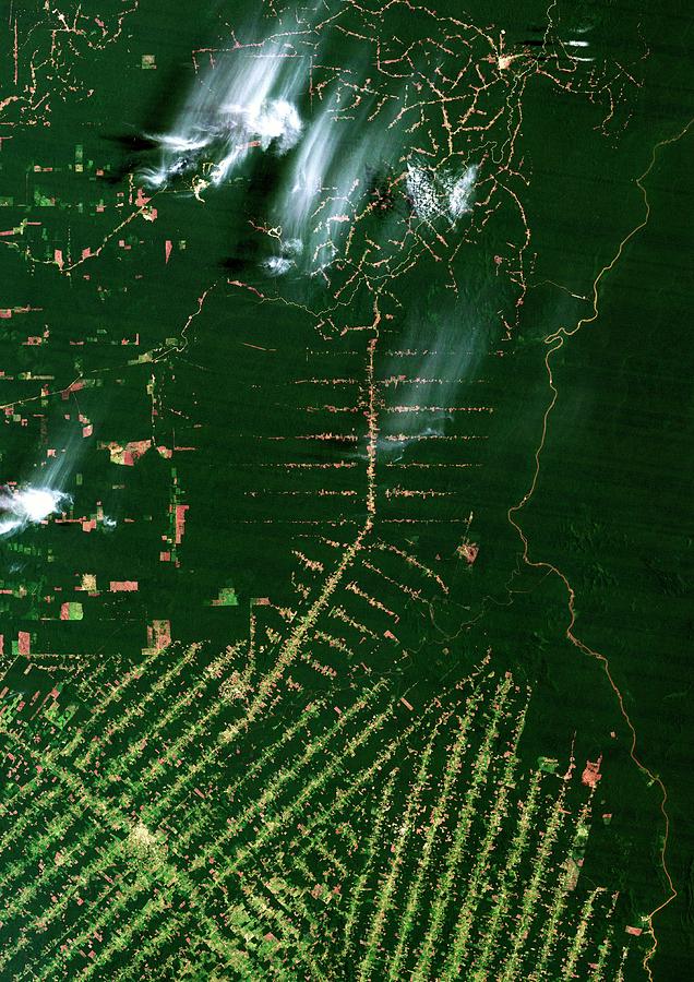 Deforestation In The Amazon #3 Photograph by Planetobserver/science Photo Library
