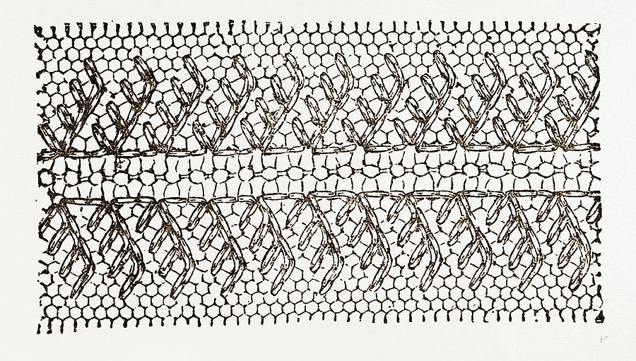 Design For Darning On Net, Needlework Drawing By Litz Collection - Pixels