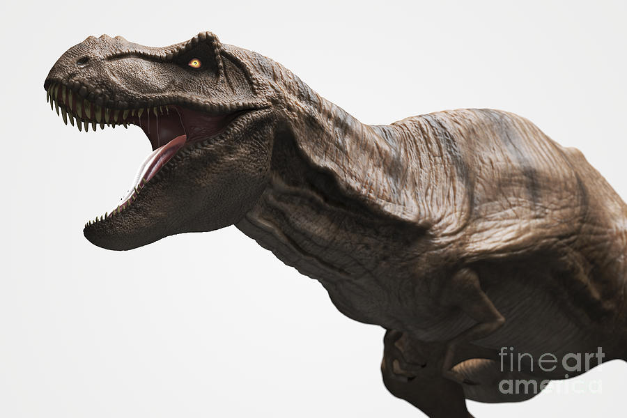 Prehistoric Photograph - Dinosaur Tyrannosaurus #3 by Science Picture Co