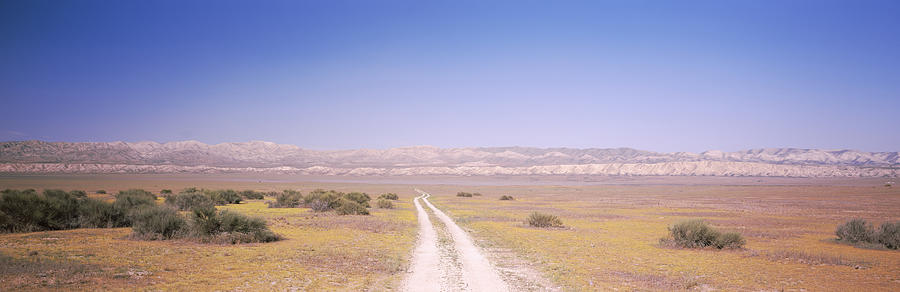 Nature Photograph - Dirt Road Passing Through A Landscape #3 by Panoramic Images