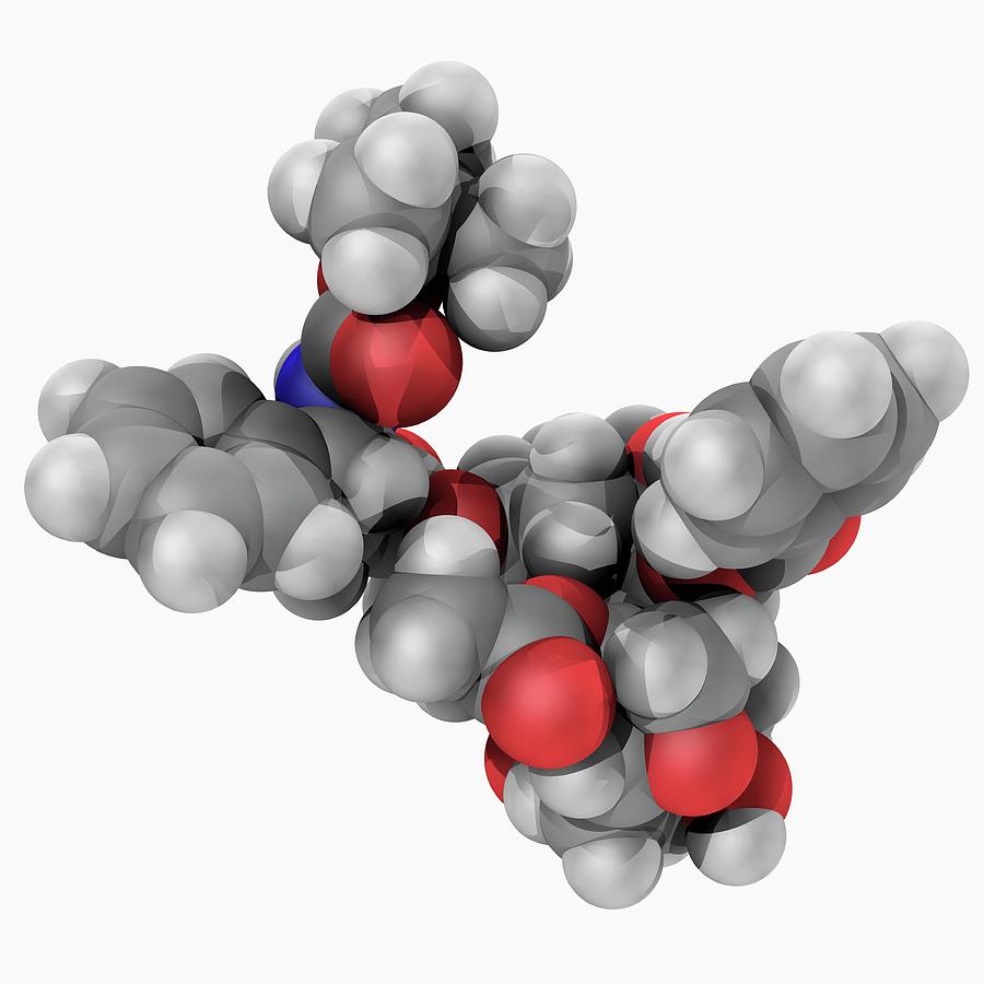 What are small molecule drugs