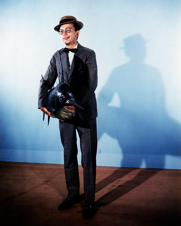 Don Knotts #3 Photograph by Silver Screen