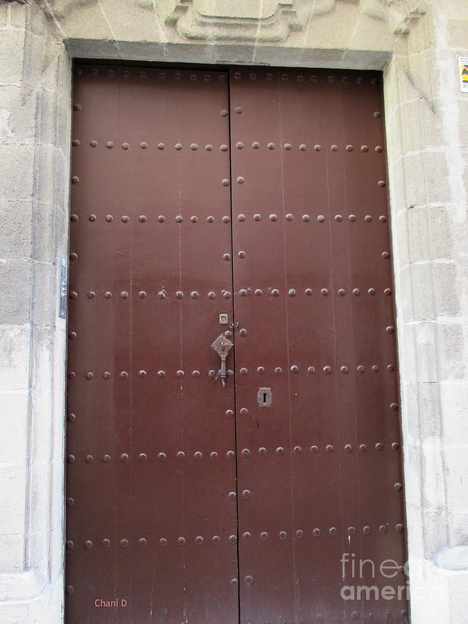 Door in Jerez #5 Photograph by Chani Demuijlder