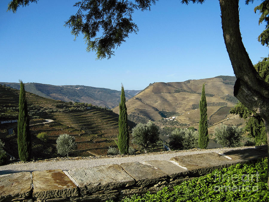 Douro River Valley #3 Photograph by Arlene Carmel