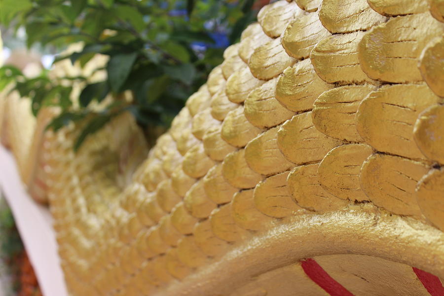 Buddha Photograph - Dragon Tail #3 by Michael Kim