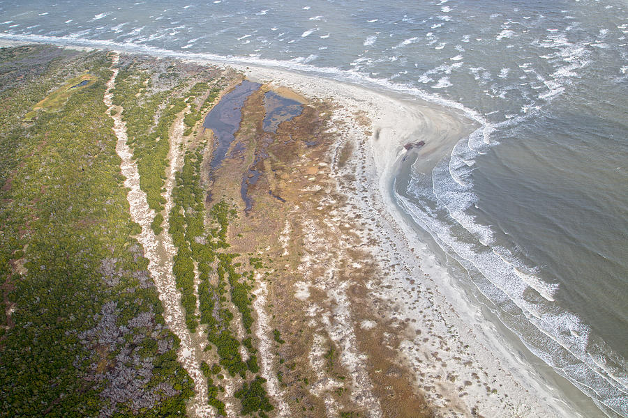Nature Photograph - East Coast Aerial Near Jekyll Island #3 by Betsy Knapp