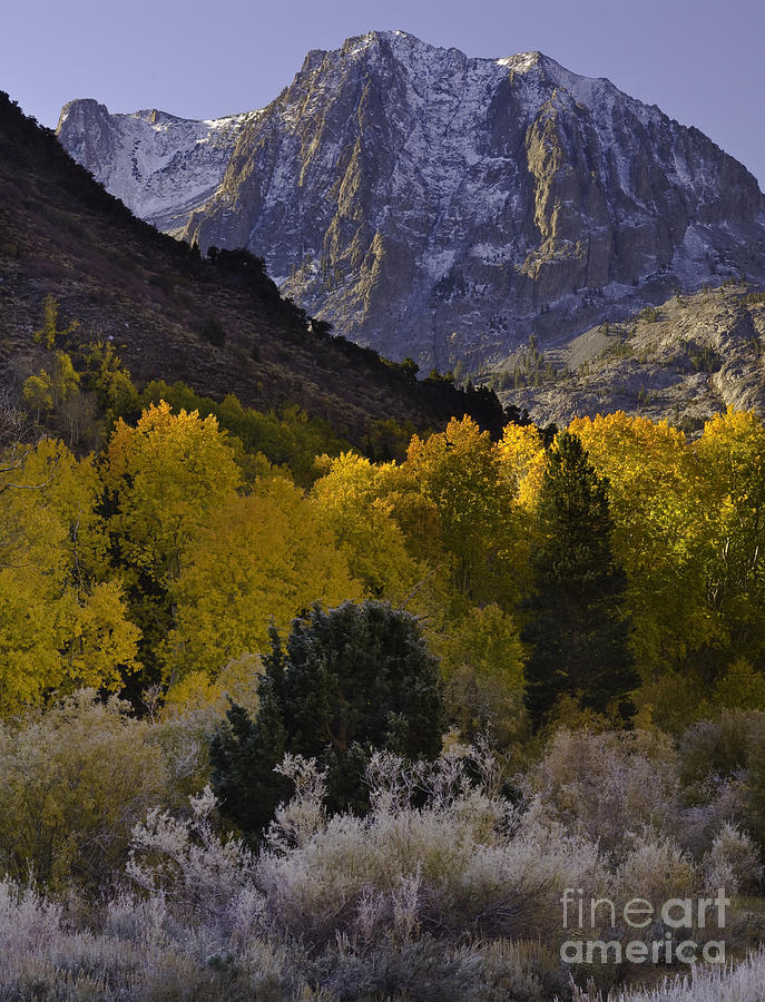 Eastern Sierras In Autumn #3 Photograph by John Shaw