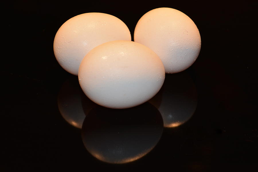 3 Eggs Photograph by Lori Seaman