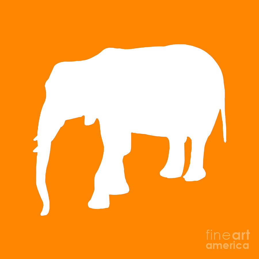 Elephant in Orange and White Digital Art by Jackie Farnsworth